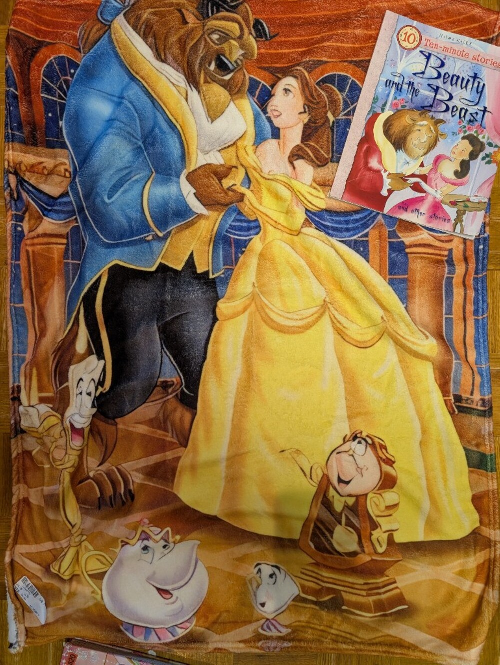 Beauty and the Beast Cover Plus Book